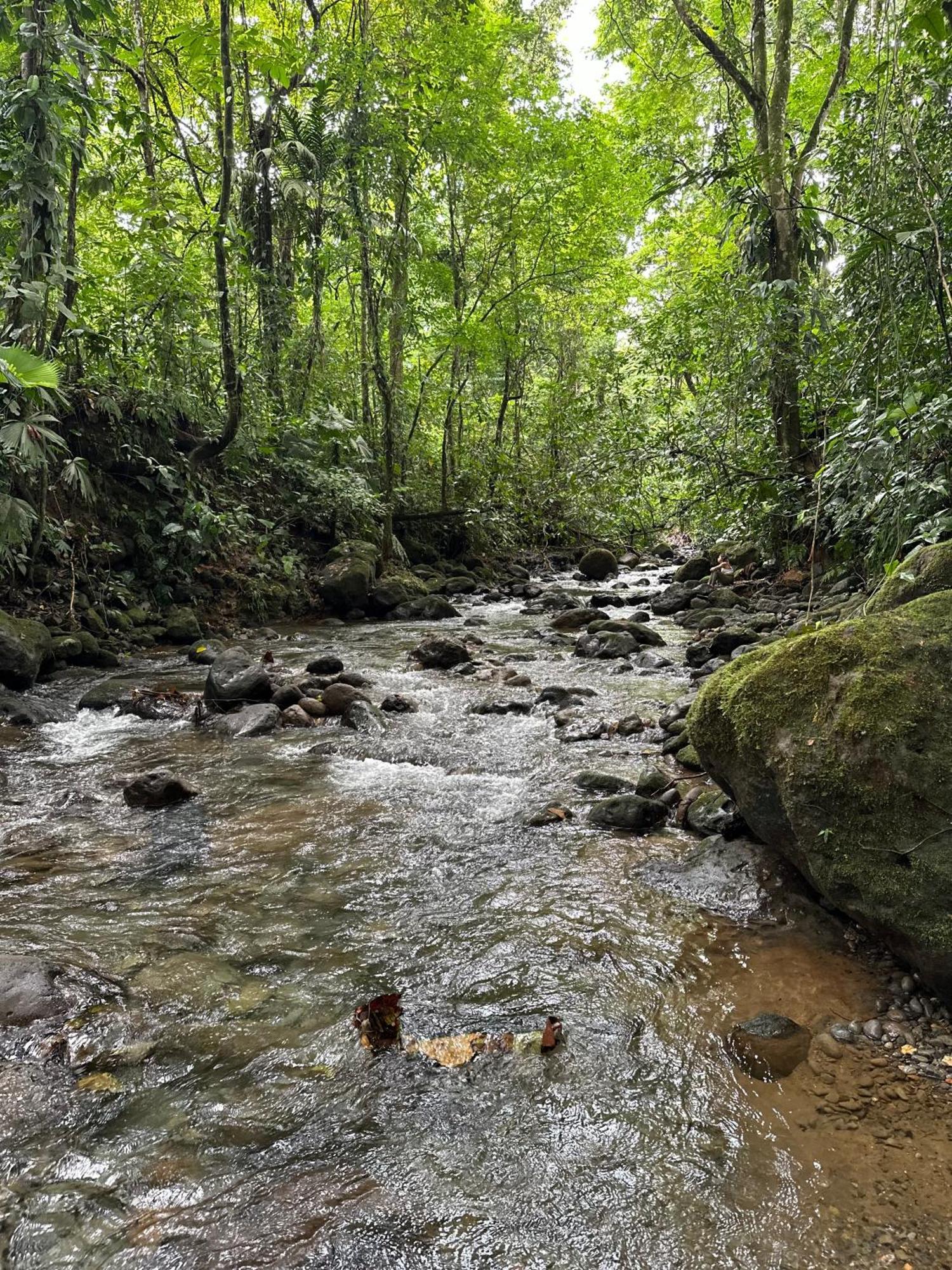 Villas Sapiens Arenal La Fortuna Exteriör bild